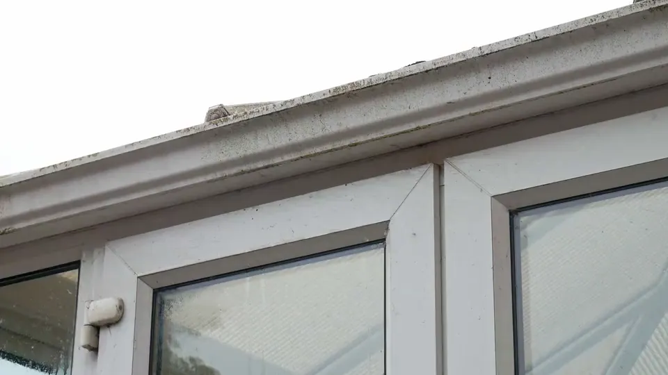 Gutter Cleaning by Peyton Pressure Washing, Newport RI